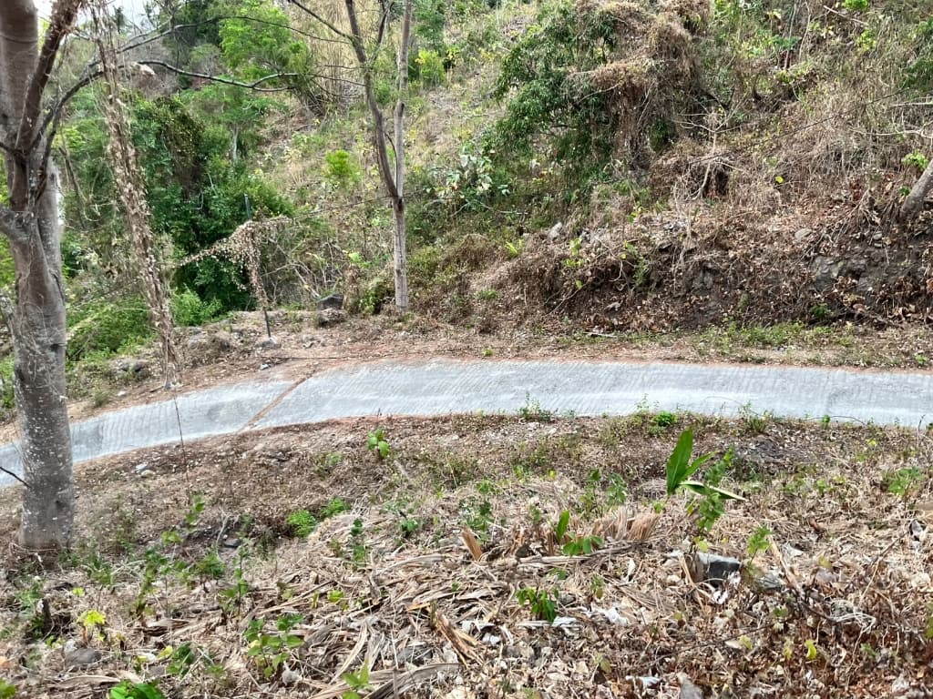 Land plot terrain and elevated landscape