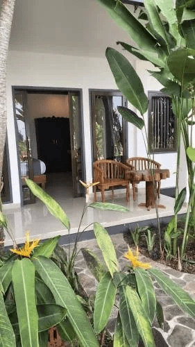 Guest room terrace and tropical garden
