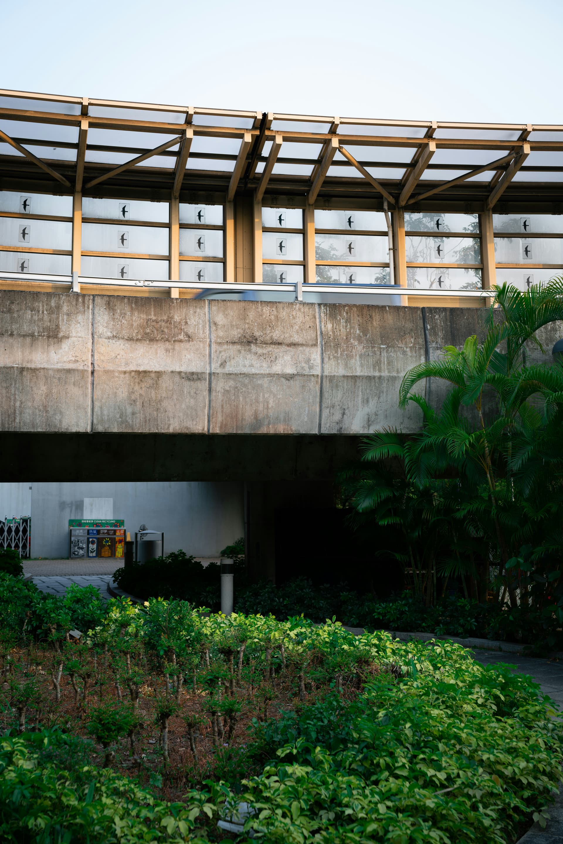 Tropical planting against a raw concrete wall