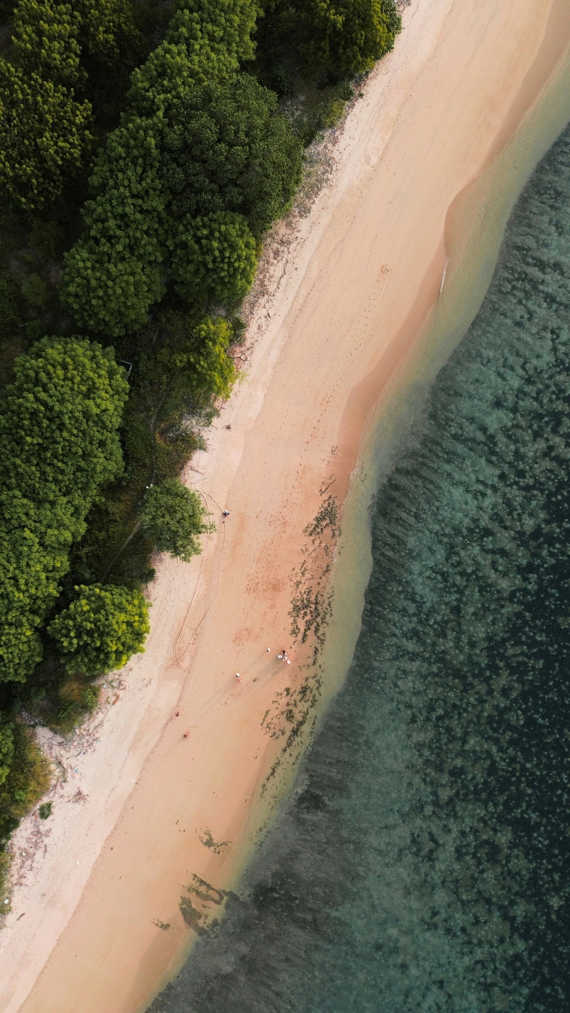 Aerial view of an empty beach meeting a green coastline in Lombok